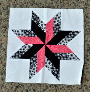 Black/White/Pink Zinger by Erica W