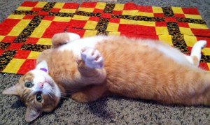 Country Lanes Gets a "Paws Up" Rating