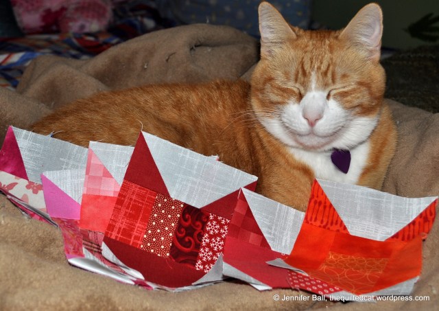 Tiger Likes the Cat Blocks!