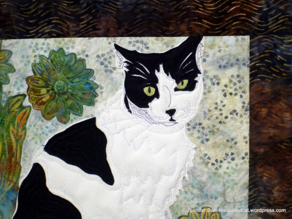 Cow Cat Face Close-Up