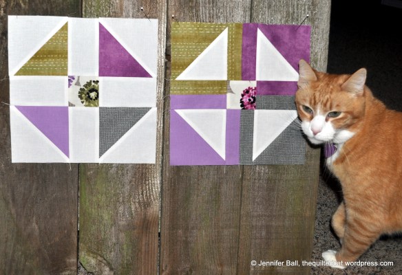 Cat Inspector with Jan Vice Versa Blocks
