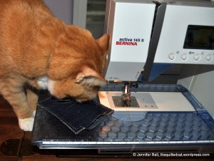 Tiger "Helping" Me Finish the Catnip Toy