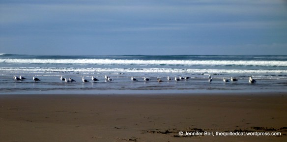 Seagulls at the Oregon Coast in February