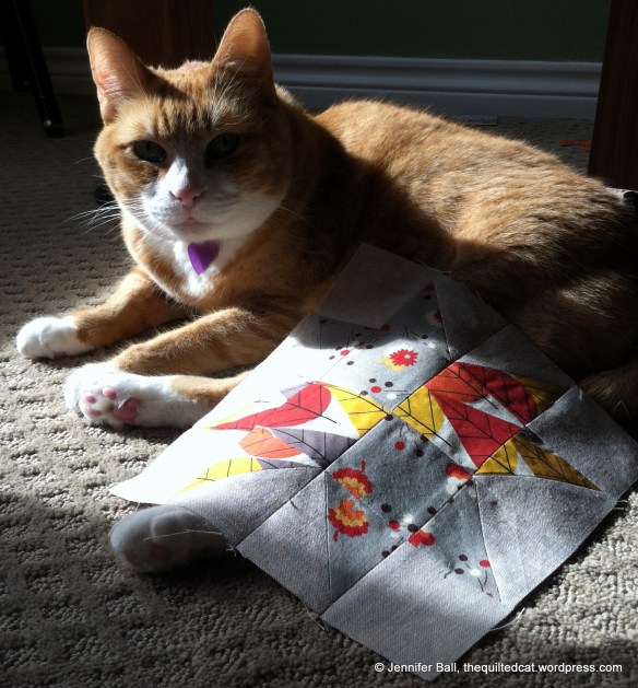 Tiger with SLSB Block Center