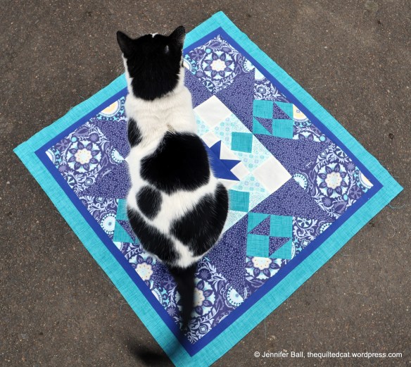 Cow the Cat on the medallion