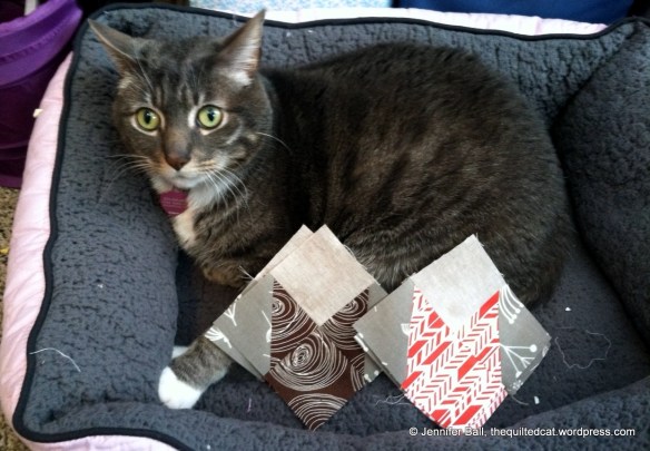 Romeo gets startled by block corner units