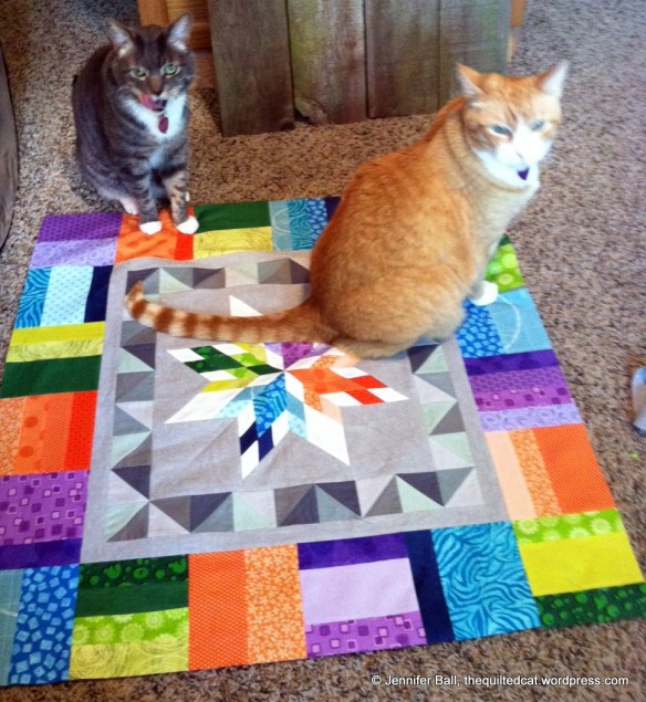 Cats Inspect Aviatrix Medallion