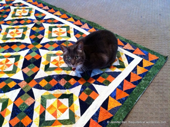Romeo inspects my Celtic Solstice quilt (before binding)