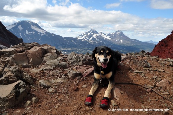 Broken Top Hike with View of the Three Sisters (and Brutus the dog)