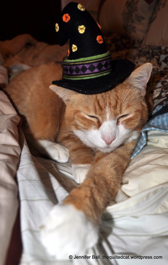 Tiger likes the witch hat