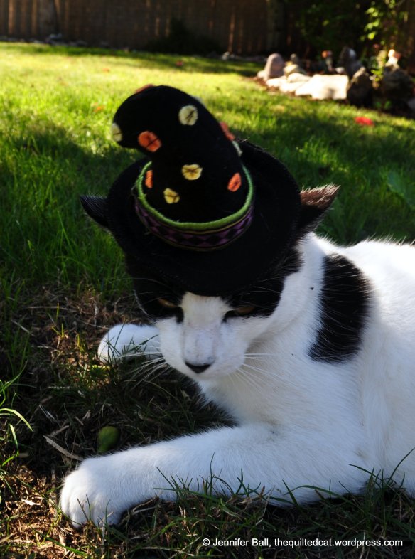 Cow is planning his revenge