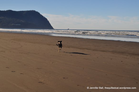 Brutus at Seaside, Oregon