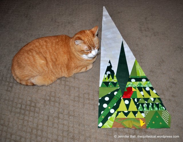 Weeks 1 and 2, Forest QAL with Tiger