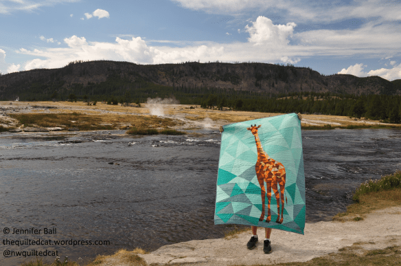 Giraffe at Biscuit Basin, Yellowstone NP